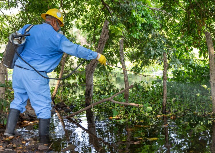 El Salvador Se Convierte En El Primer Pa S Centroamericano Libre De La