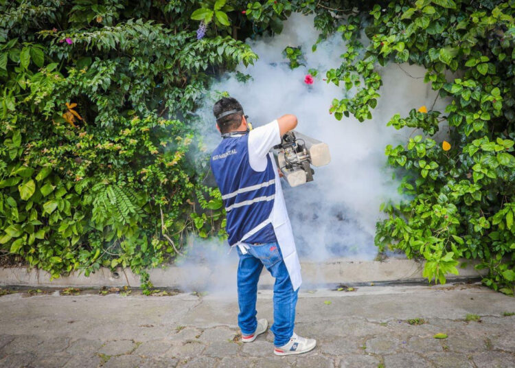 Se Mantienen Cifras Bajas En Casos De Dengue Zika Y Chikungunya