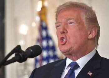 Donald Trump «Caravana de migrantes muestra la debilidad de las leyes»