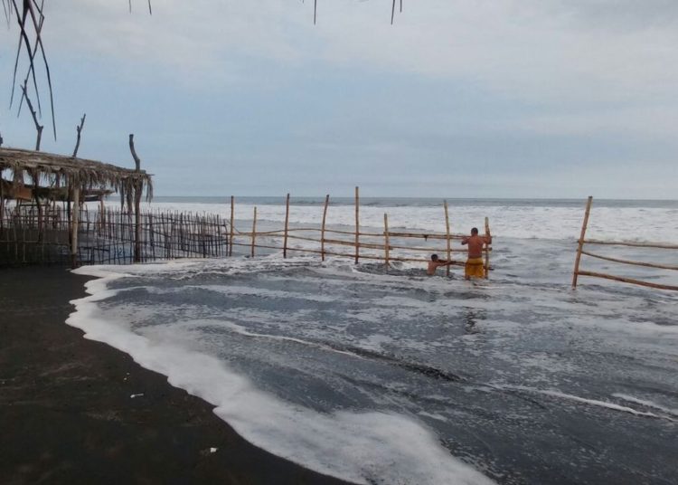 Reportan oleaje más alto y rápido en playa el Majahual