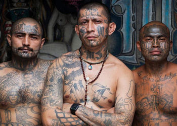 Estudio desmiente cuatro mitos sobre la «MS-13»