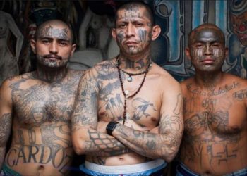 Casa Blanca: «Los miembros del MS-13 son animales violentos»