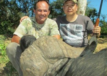 Búfalo mata a cazador, y los internautas lo celebran en Facebook