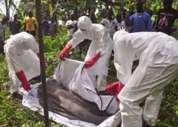 Nuevo brote de ébola en el Congo