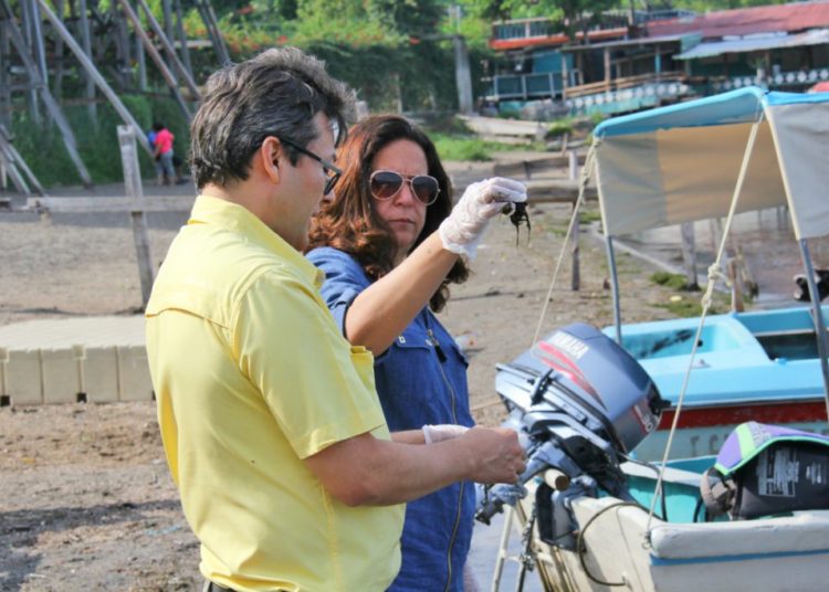 Lina Pohl recomienda no consumir agua del lago de Coatepeque por proliferación de algas