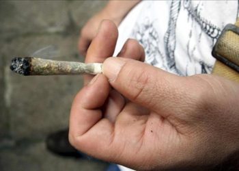 Juez ordena 144 jornadas laborales a sujeto que portaba 30 porciones de marihuana 