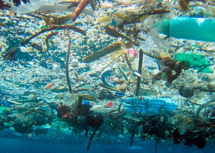 Celebran el Día del Medio Ambiente con el lema «Sin contaminación por plástico»