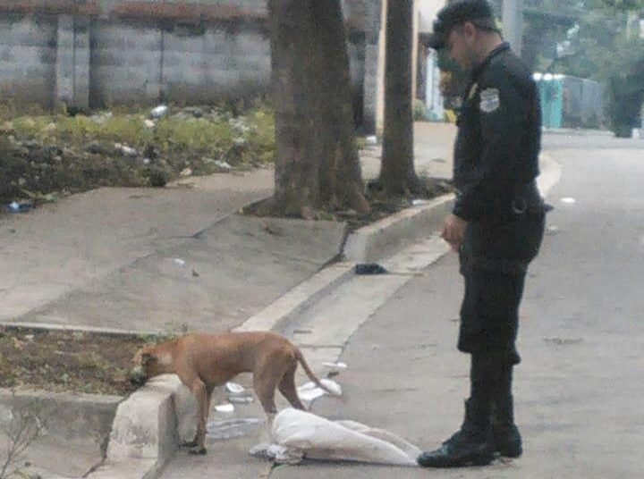 Amarran las patas de un perro y lo abandonan dentro de un saco