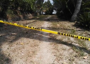 Pandilleros asesinan a tres empleados de una granja avícola