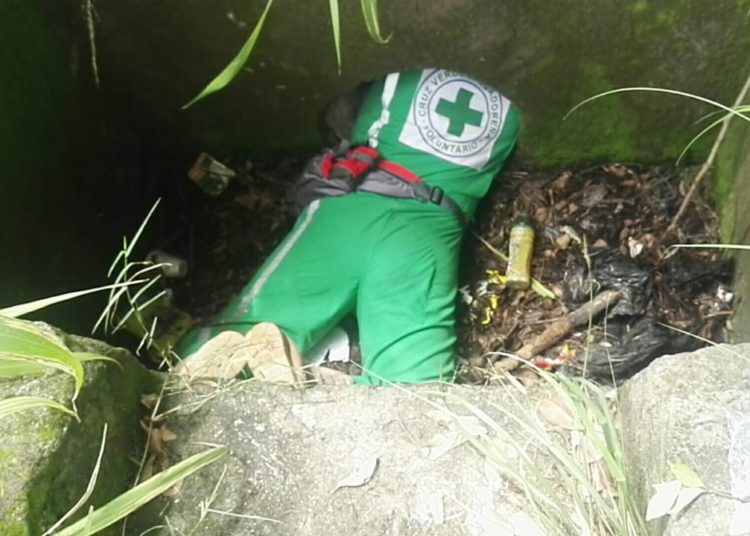 [Video y Fotos] Dramático rescate de un perrito atrapado en alcantarilla