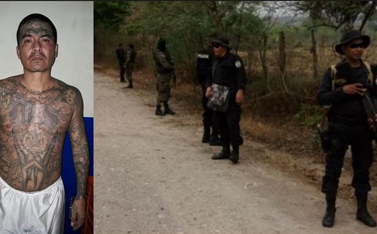 Capturan a varios cabecillas de la MS en Mejicanos y Ayutuxtepeque