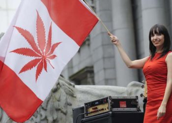 Canadá legaliza consumo de la marihuana para fines recreativos