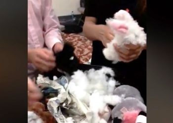 [VIDEO] Miembros de iglesia destrozan «peluches diabólicos»