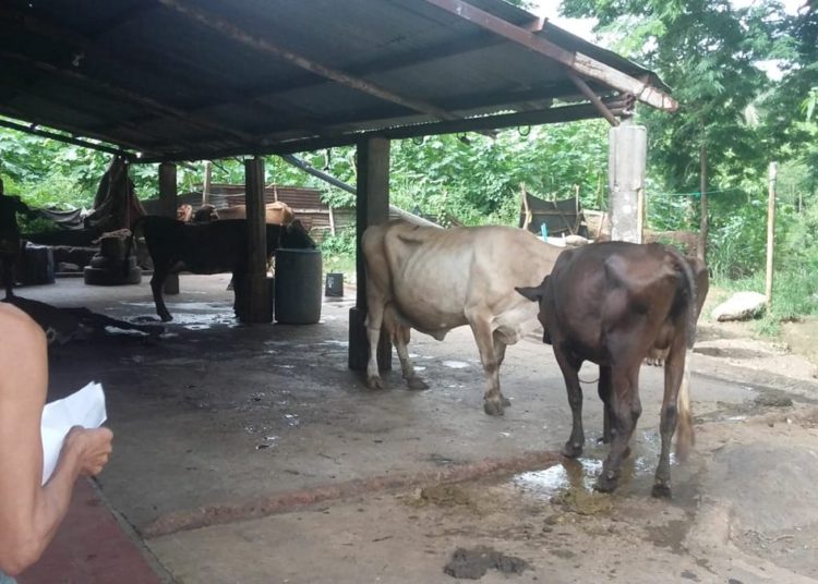 Desmantelan rastro clandestino en casa comunal de la colonia San Rafael de Sonsonate