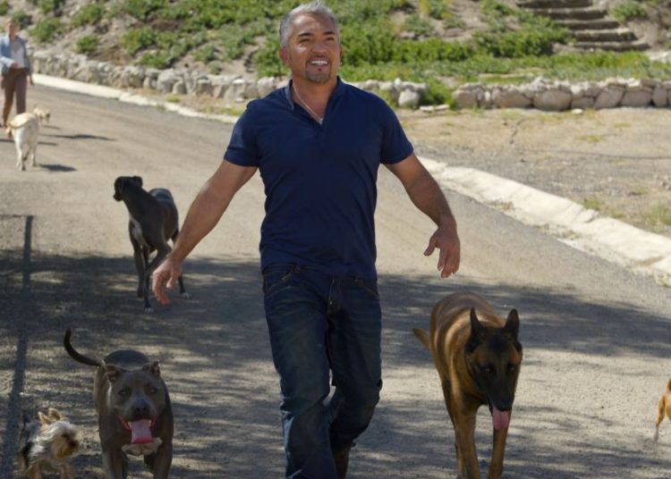 El encantador de perros confesó su dramática historia como ilegal en los Estados Unidos