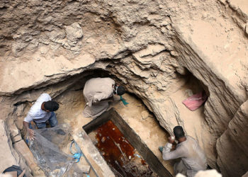 Internautas exigen beber el «zumo de los huesos» del misterioso sarcófago negro