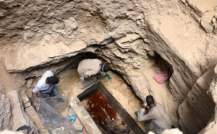 Internautas exigen beber el «zumo de los huesos» del misterioso sarcófago negro