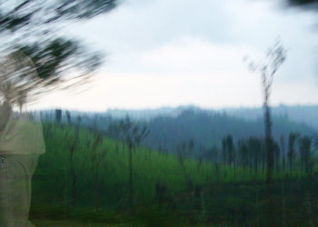 Le toma una foto a su hijo en un parque y descubre un ‘fantasma’