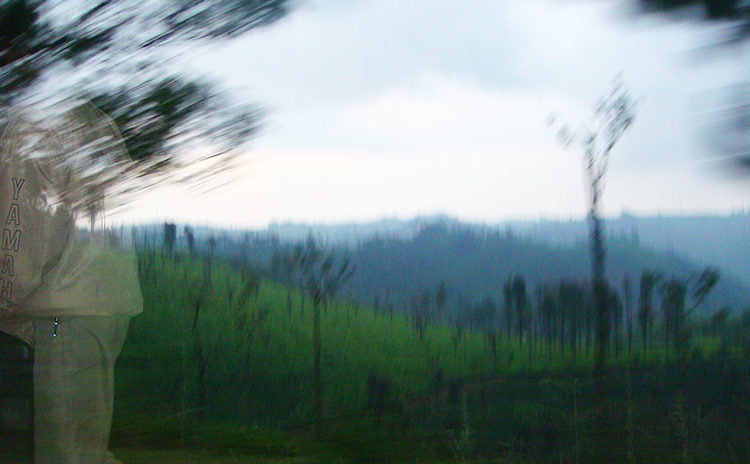 Le toma una foto a su hijo en un parque y descubre un ‘fantasma’