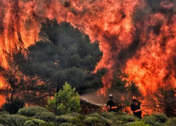 Grecia busca a los desaparecidos de los incendios que han dejado ya 81 muertos