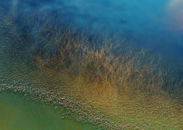 Estas son las mejores fotos de viaje ganadoras del concurso National Geographic 2018