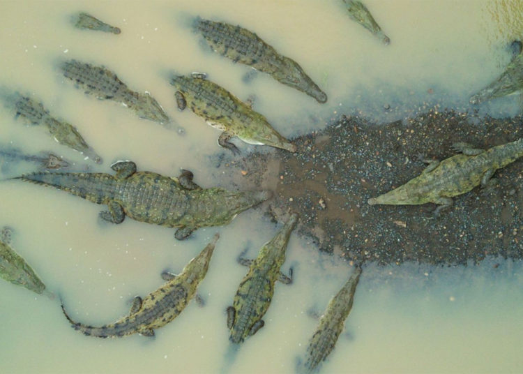 Estas son las mejores fotos de viaje ganadoras del concurso National Geographic 2018