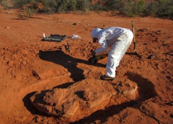 Hallaron en Argentina al dinosaurio gigante más antiguo que habitó la Tierra