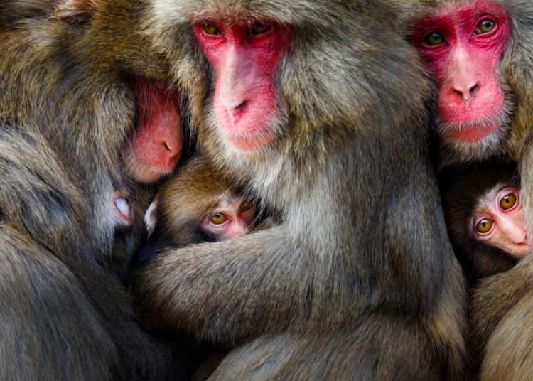 Estas son las mejores fotos de viaje ganadoras del concurso National Geographic 2018