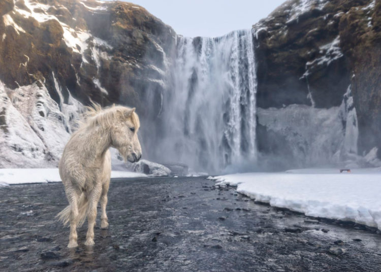 Estas son las mejores fotos de viaje ganadoras del concurso National Geographic 2018