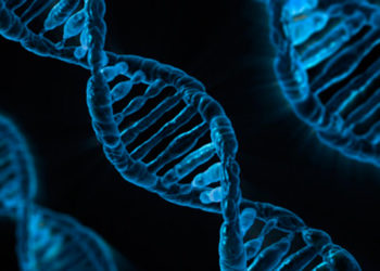 Científicos australianos encuentran un gen capaz de ayudar a frenar el cáncer