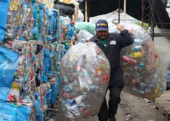 Alertan sobre el daño que ocasiona el plástico en los genitales masculinos