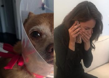 Eiza González, con el corazón roto por su perrita “Pasita “