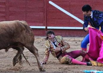 Toro arranca cuero cabelludo al torero Juan José Padilla