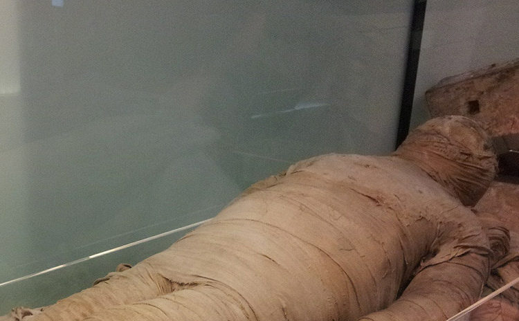 Exhiben por primera vez una momia de dos cabezas: una de niña y otra de cocodrilo