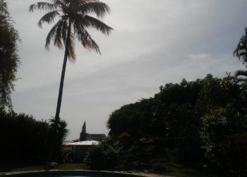 Pronostican pocas lluvias para este martes