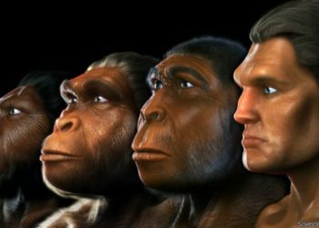 Científicos desmienten un mito sobre la evolución humana