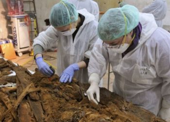 Encuentran, por primera vez, restos de una niña que nació de dos especies humanas distintas