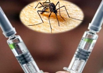 EE.UU. comenzará el ensayo clínico en humanos para la vacuna contra el zika