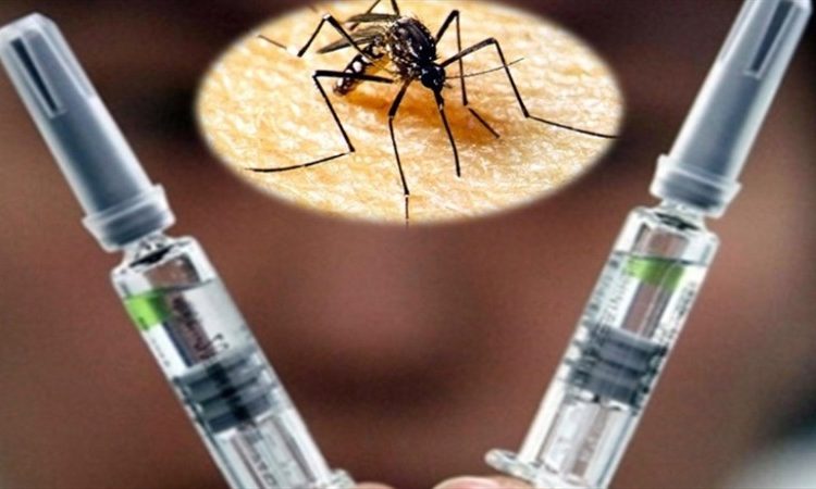 EE.UU. comenzará el ensayo clínico en humanos para la vacuna contra el zika