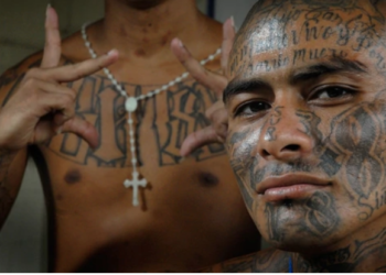 Lecturas para Fin de Semana: Exportando la MS y el Barrio 18 al sur de México