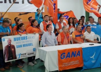 Proponen incorporar una golondrina en la bandera de GANA