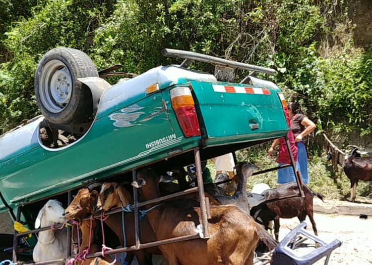 Cuatro personas y 10 cabras lesionadas deja accidente de tránsito en carretera a Comalapa