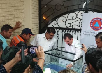 Un fallecido a causa del dengue, luego de dos años sin epidemia