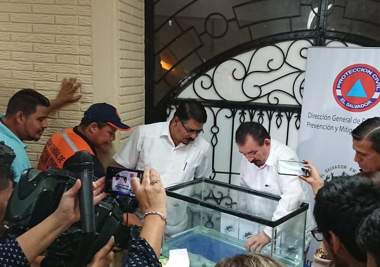 Un fallecido a causa del dengue, luego de dos años sin epidemia