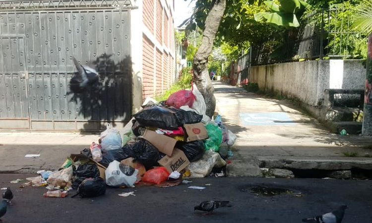 Tecleños demandan recolección de basura