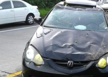 Hombre muere al estrellar su vehículo en bulevar monseñor Óscar Arnulfo Romero