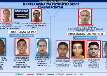 “Ramfleros” de la MS son desarticulados en La Paz, San Vicente y San Salvador
