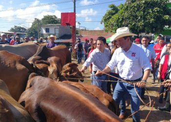 Hugo Martínez presume de domar bestias en tiangue de San Rafael Cedros