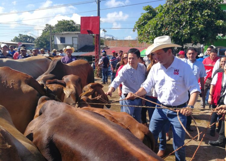 Hugo Martínez presume de domar bestias en tiangue de San Rafael Cedros