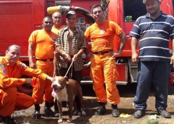 Conejo “pone trampa” a pitbull y lo lleva hasta un profundo pozo, en Atiquizaya